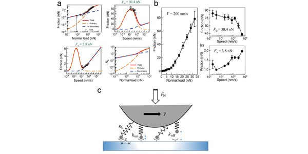 Load and Velocity Dependence of Friction Mediated by Dynamics of Interfacial Contacts