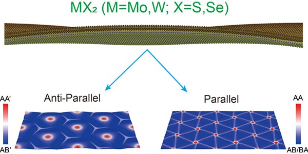 Anisotropic Interlayer Force Field for Group-VI Transition Metal Dichalcogenides