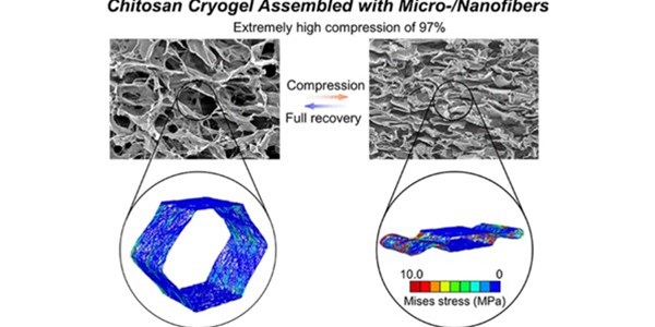 Bioinspired Multiscale Micro-/Nanofiber Network Design Enabling Extremely Compressible, Fatigue-Resistant, and Rapidly Shape-Recoverable Cryogels