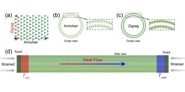 Chirality-dependent strain modulation of thermal conductivity in double-walled molybdenum disulfide nanotubes